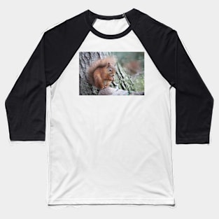 Red squirrel Baseball T-Shirt